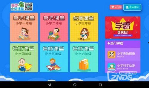 小学同步视频,小学课程知识要点梳理