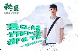 秘果视频,揭秘未知世界的奇幻之旅