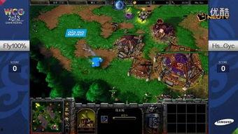 魔兽争霸fly视频