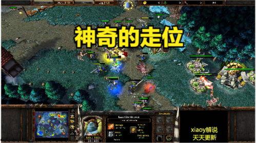 魔兽争霸fly视频