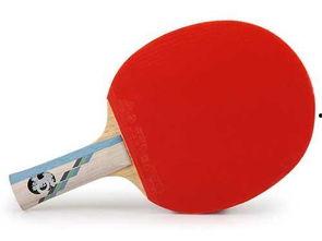 乒乓球拍保养方法视频,视频教你轻松延长拍龄