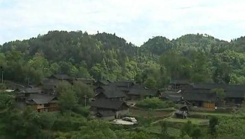 贵州农村视频,古朴风情与现代变迁的交织画卷
