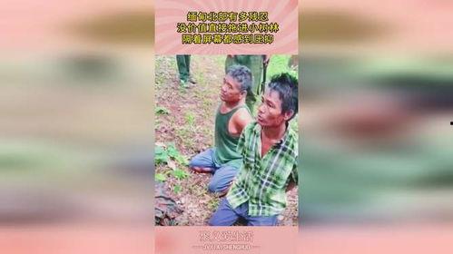缅甸北部残忍视频,残忍视频揭露人性黑暗面