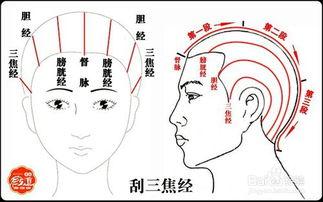 刮痧头部视频教程,轻松掌握头部刮痧技巧