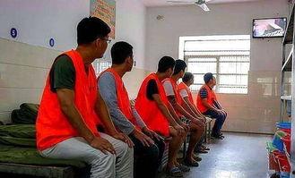 看守所的真实生活视频,真实生活片段背后的震撼瞬间