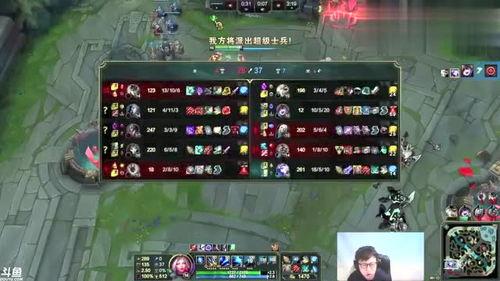 冷血射手视频,揭秘暗影中的致命杀手