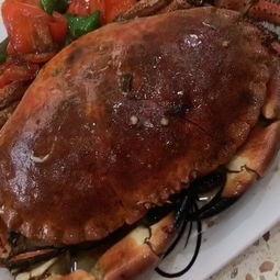 吃面包蟹视频,视频带你领略海鲜盛宴