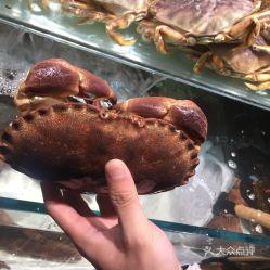吃面包蟹视频,视频带你领略海鲜盛宴